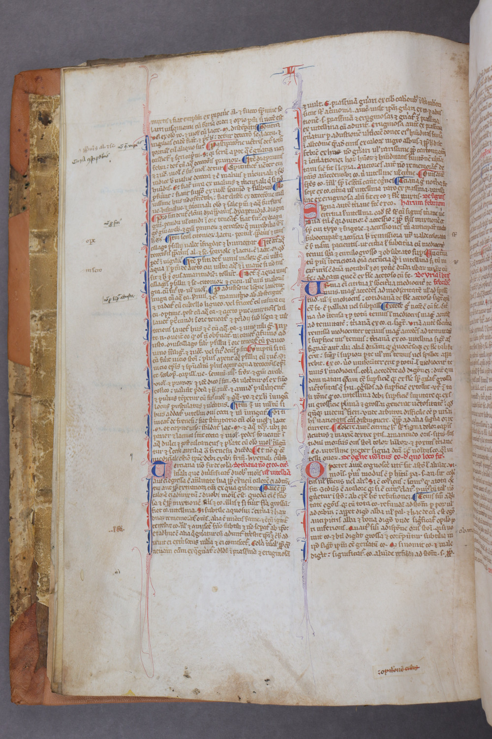 Folio 7 verso